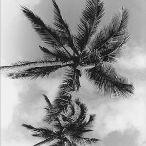 Meet your Posher, Claire